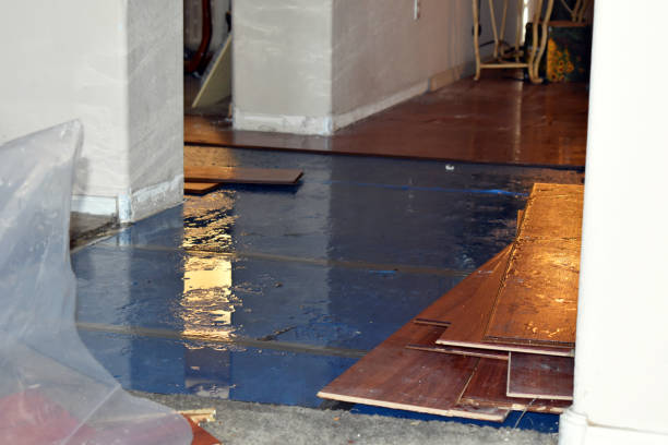 Professional Water Damage technician working in Hollytree, AL